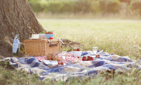 Picnic and hamper beside tree in meadow
